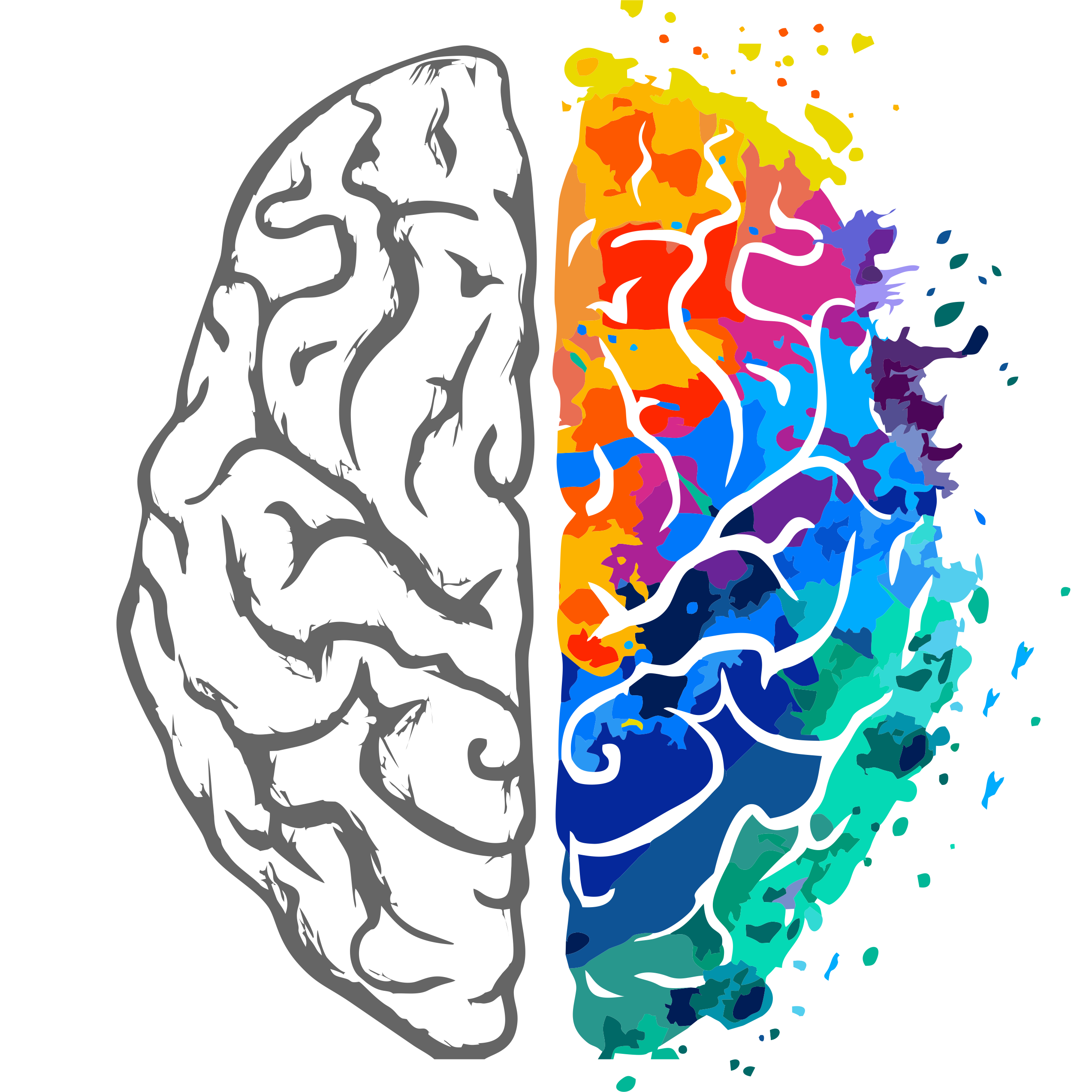 brain2_new-1